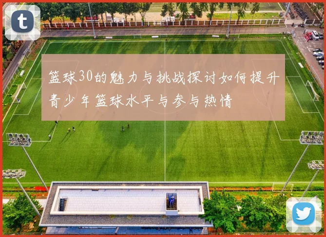 篮球30的魅力与挑战探讨如何提升青少年篮球水平与参与热情