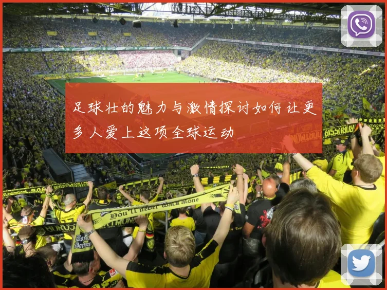 足球壮的魅力与激情探讨如何让更多人爱上这项全球运动