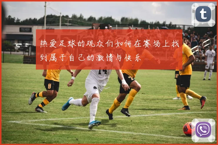 热爱足球的观众们如何在赛场上找到属于自己的激情与快乐