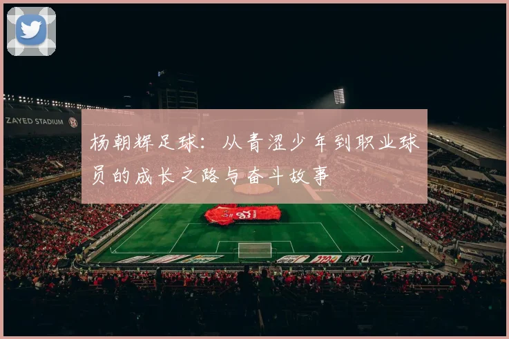杨朝辉足球：从青涩少年到职业球员的成长之路与奋斗故事