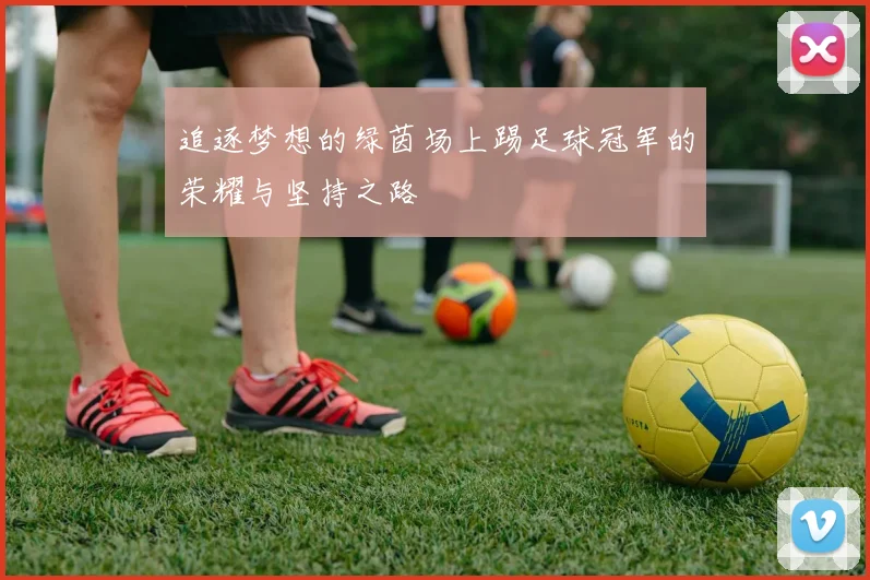 追逐梦想的绿茵场上踢足球冠军的荣耀与坚持之路