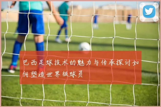 巴西足球技术的魅力与传承探讨如何塑造世界级球员